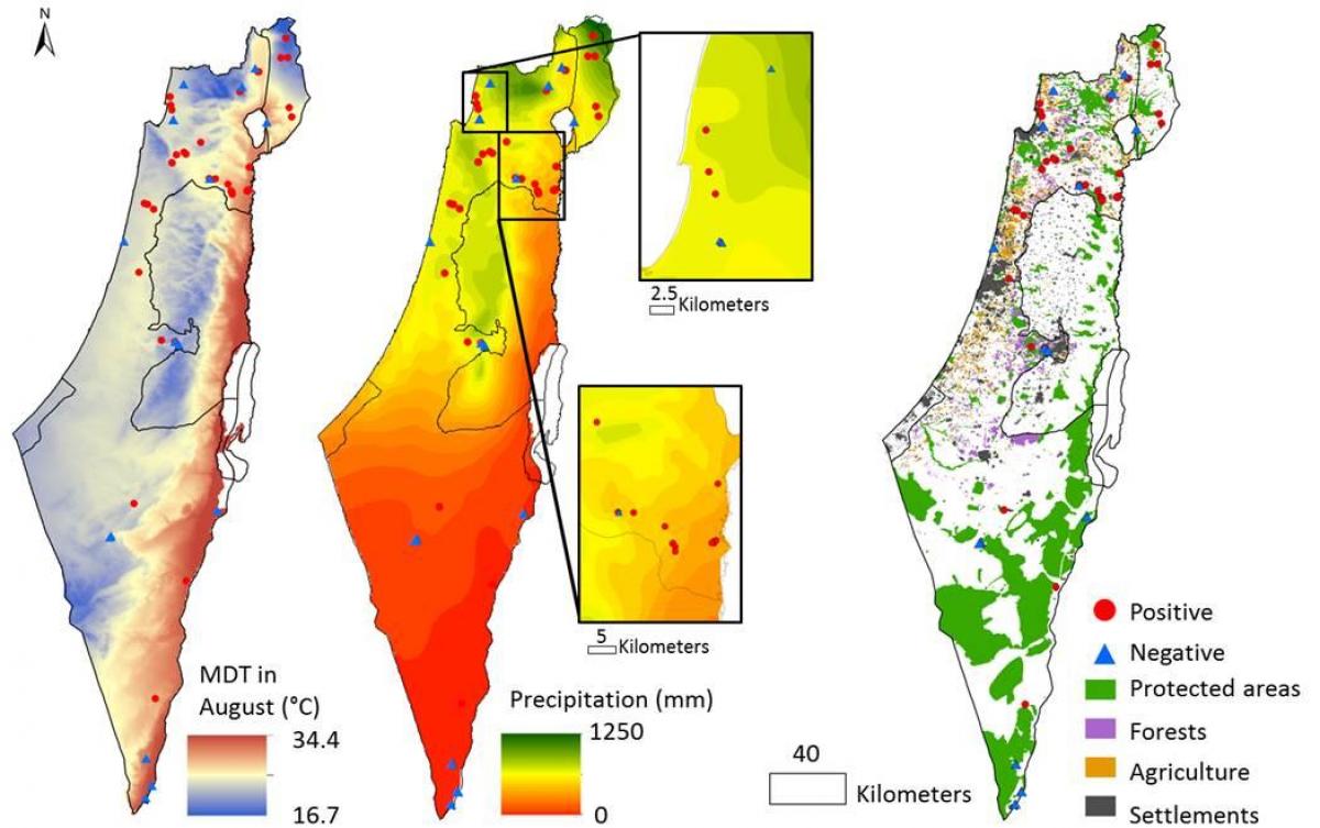 zemljevid izraela podnebje